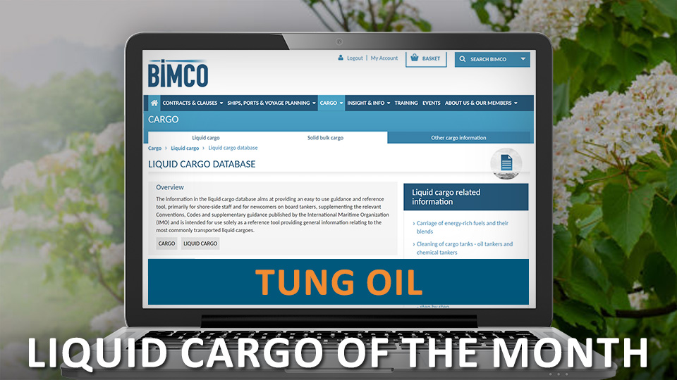 Liquid cargo of the month - BIMCO Liquid Cargo Database website and the text "Tung Oil" on laptop superimposed over photo of Tung flower tree