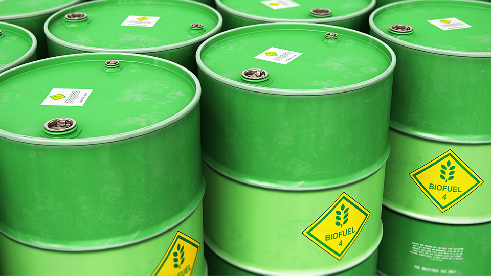 close-up of bright green barrels filled with bio-fuel