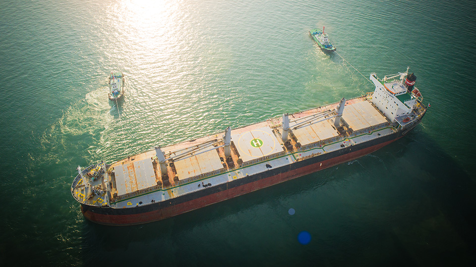  large cargo bulk carrier ship