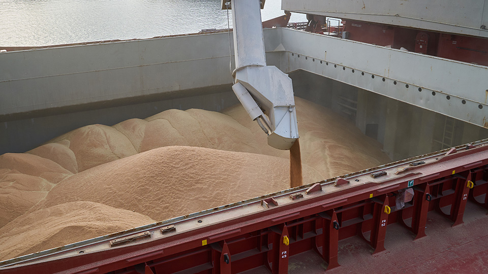 Dry cargo being loading into a ship
