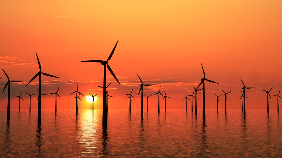 Offshore wind farm at sunrise/sunset