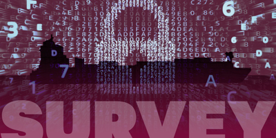 Cyber Security Survey