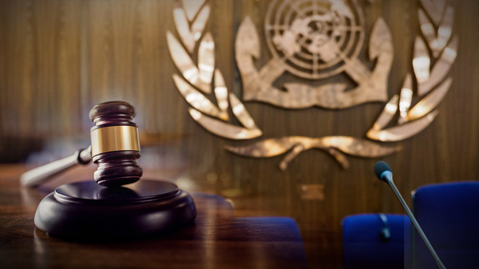 IMO logo, microphone and a gavel.
