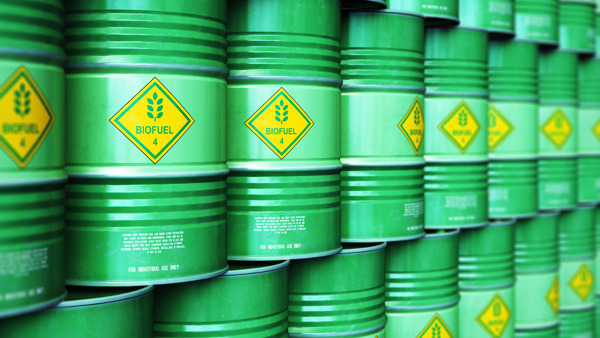 Green metal barrels with words 