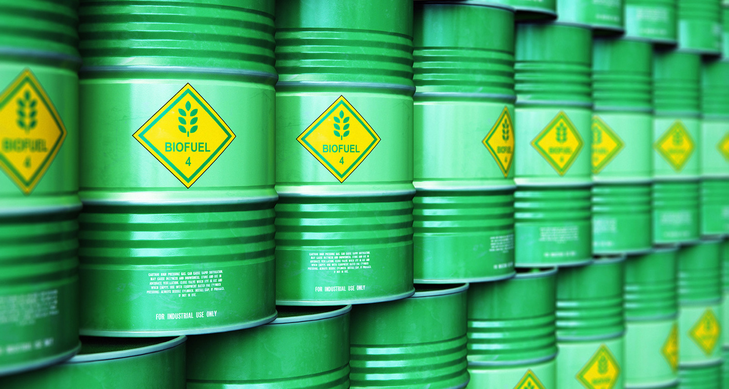 Biofuels for ships