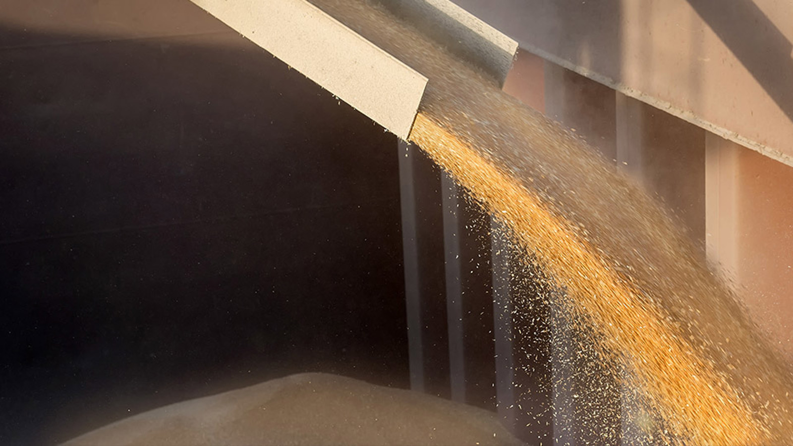 Wheat being loaded onto a ship