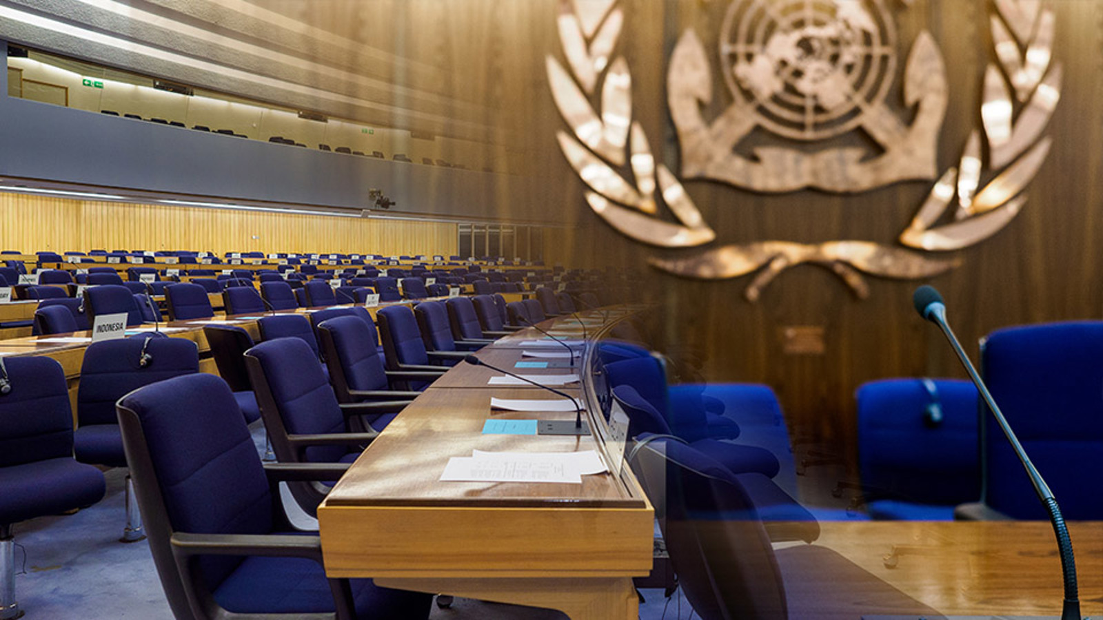 IMO meeting chamber
