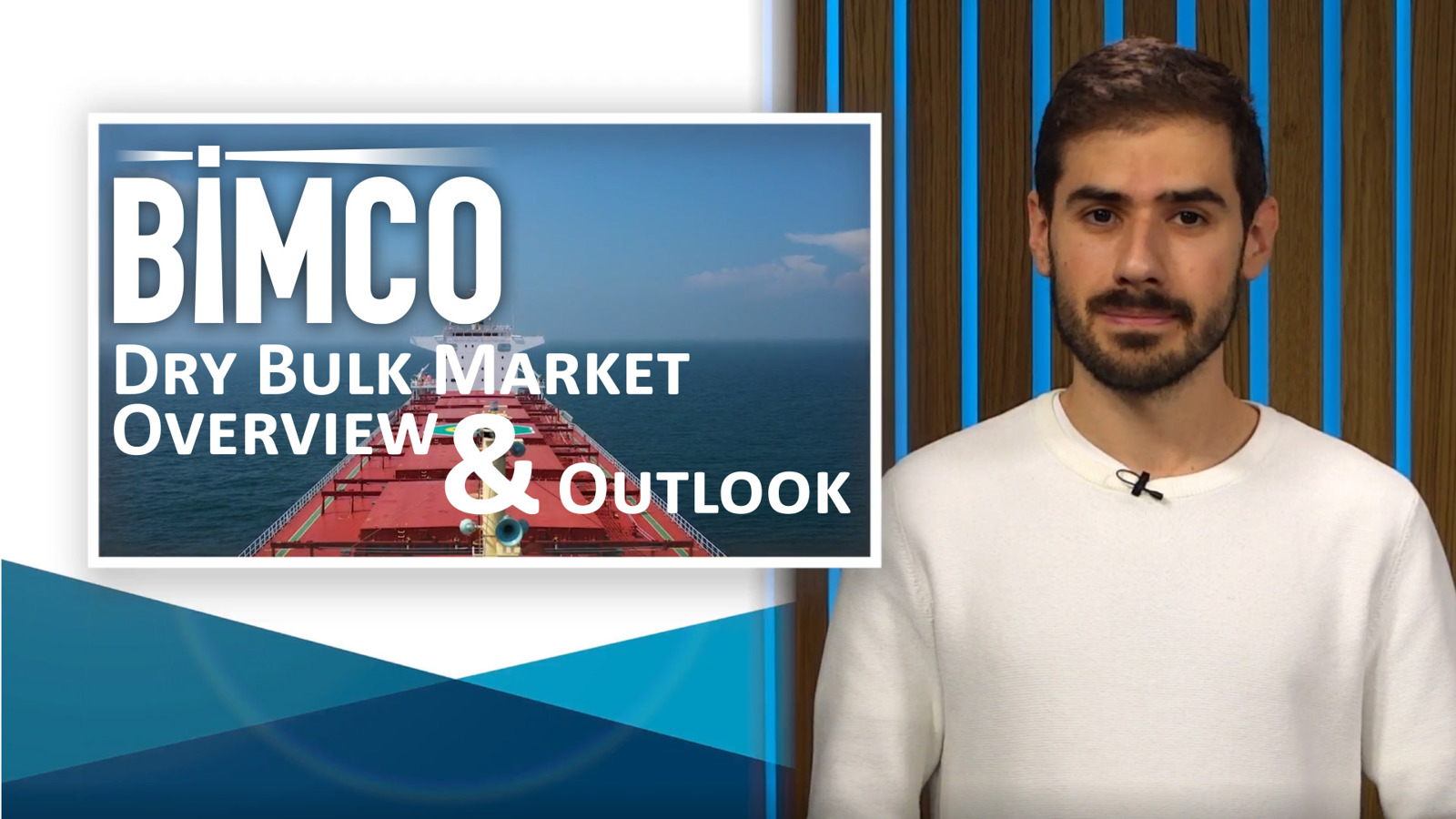 Dry Bulk Shipping Market Overview & Outlook Q4 2024
