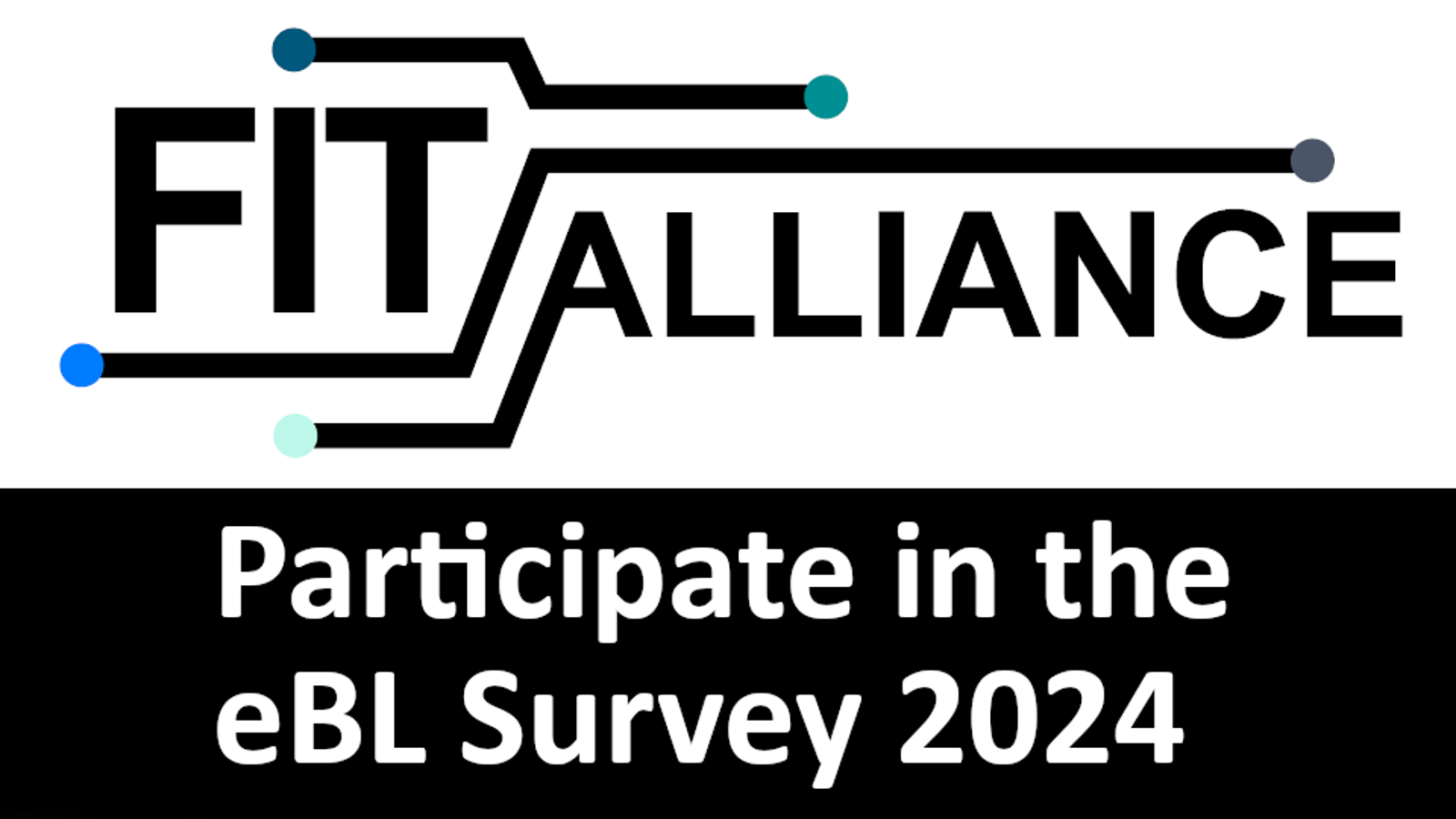 FIT Alliance survey 2024
