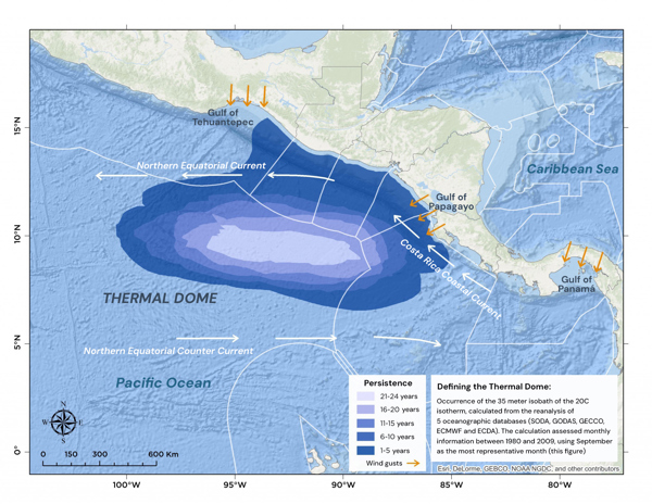 Thermal Dome Clear ENGLISH
