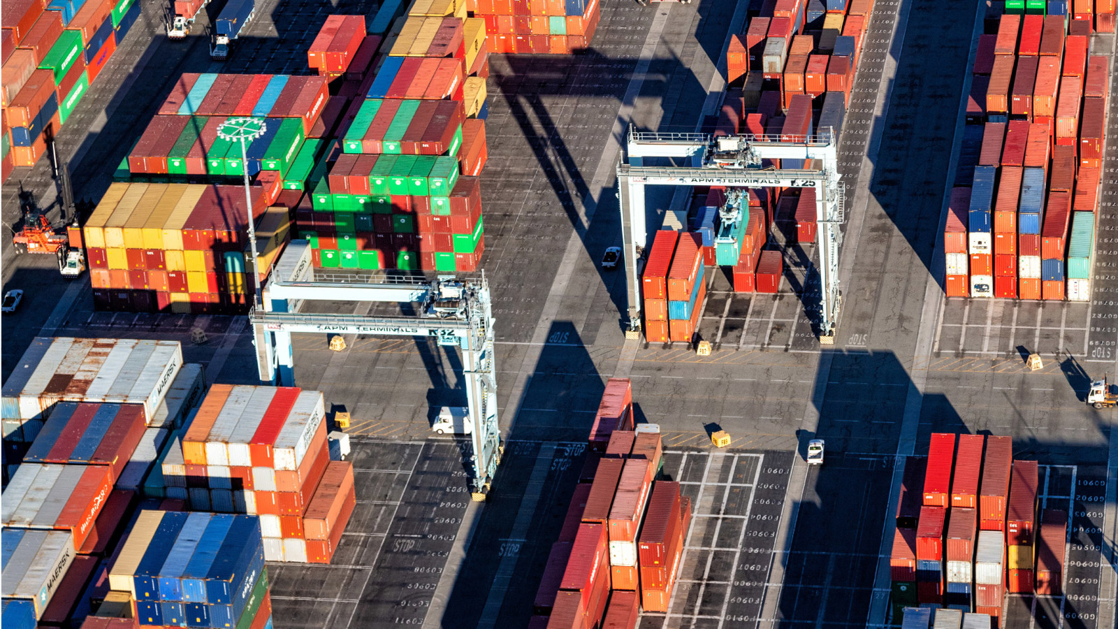 SNOW 2025 Wk31 Plain